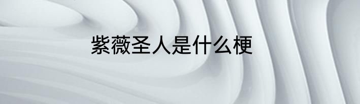 紫薇圣人是什么梗