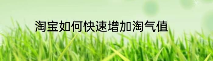 淘宝如何快速增加淘气值