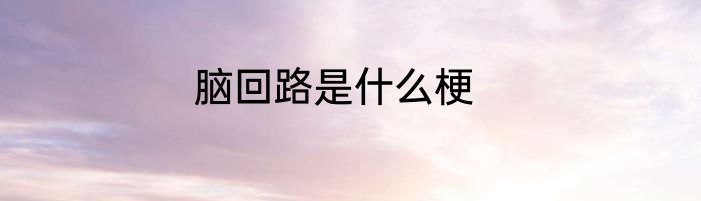 脑回路是什么梗