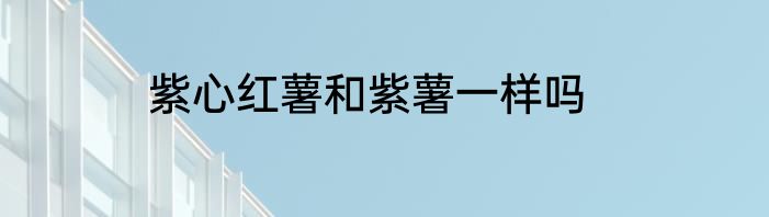 紫心红薯和紫薯一样吗