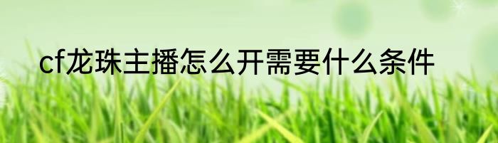 cf龙珠主播怎么开需要什么条件