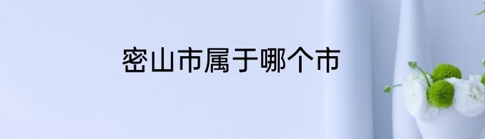 密山市属于哪个市