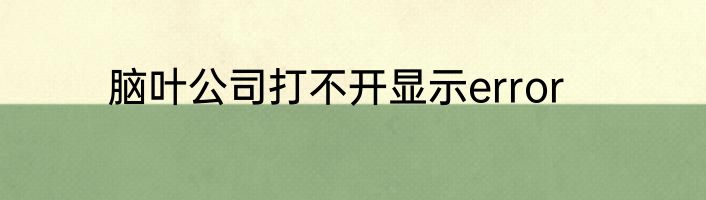 脑叶公司打不开显示error