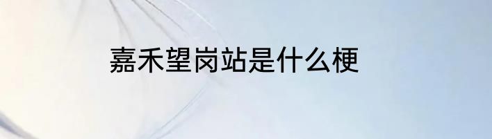 嘉禾望岗站是什么梗