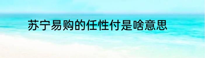 苏宁易购的任性付是啥意思