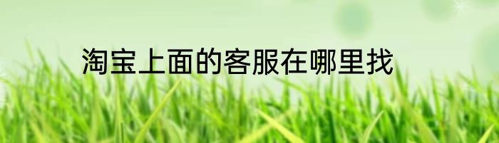 淘宝上面的客服在哪里找