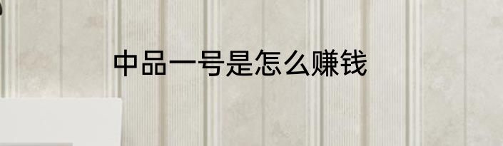 中品一号是怎么赚钱