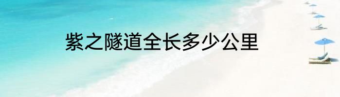 紫之隧道全长多少公里