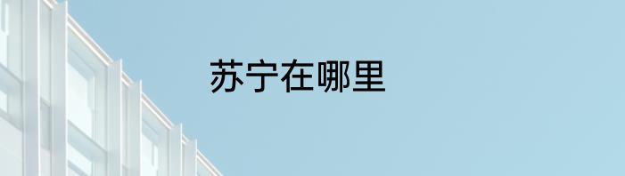 苏宁在哪里