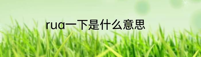 rua一下是什么意思