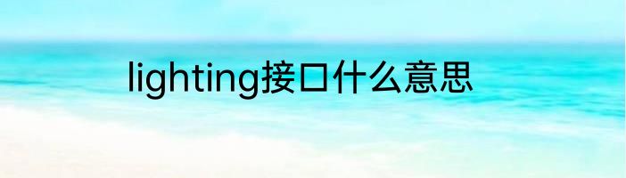 lighting接口什么意思