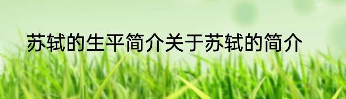 苏轼的生平简介关于苏轼的简介