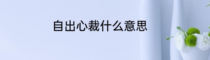 自出心裁什么意思