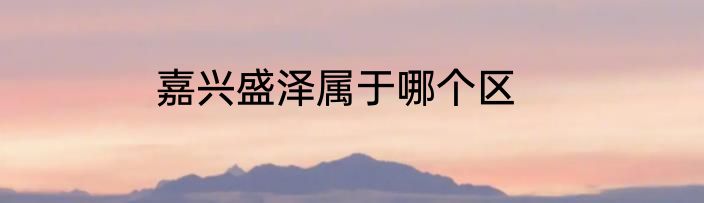嘉兴盛泽属于哪个区