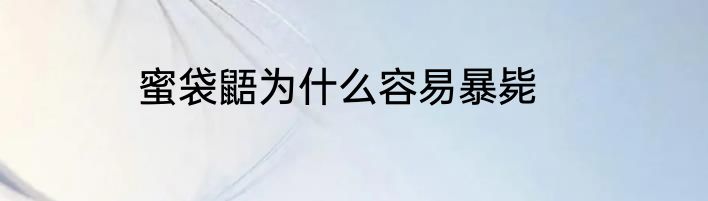 蜜袋鼯为什么容易暴毙