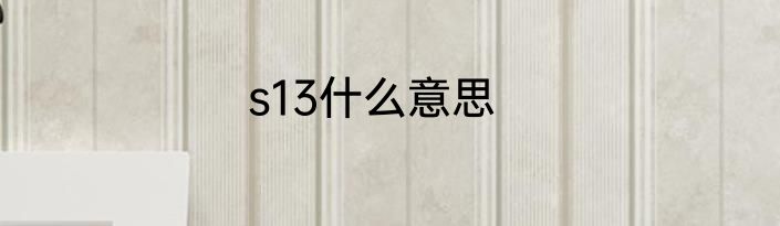 s13什么意思