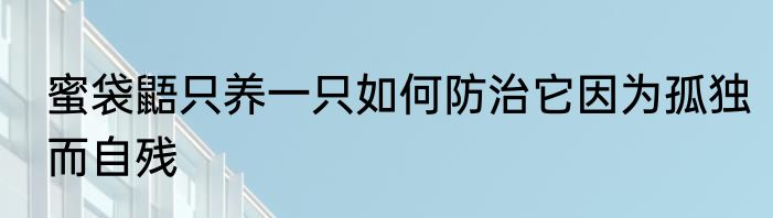 蜜袋鼯只养一只如何防治它因为孤独而自残