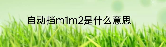 自动挡m1m2是什么意思