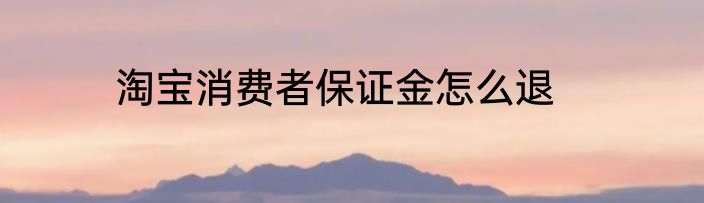 淘宝消费者保证金怎么退