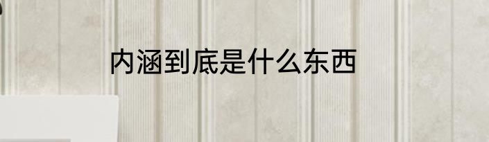 内涵到底是什么东西
