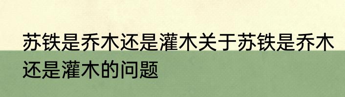 苏铁是乔木还是灌木关于苏铁是乔木还是灌木的问题