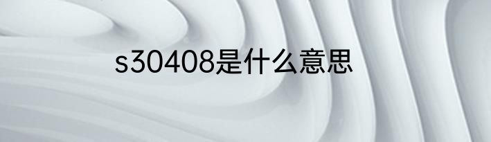 s30408是什么意思
