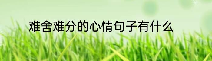 难舍难分的心情句子有什么