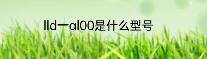 lld一al00是什么型号