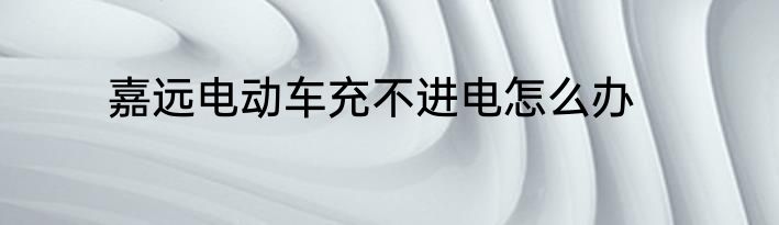 嘉远电动车充不进电怎么办