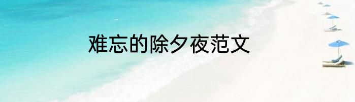 难忘的除夕夜范文