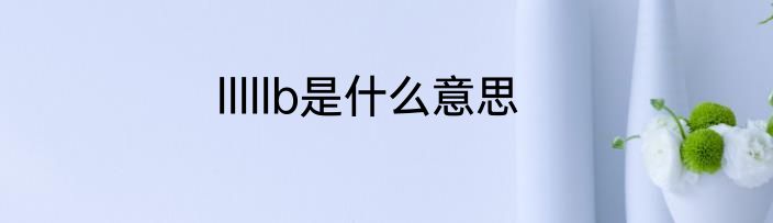 lllllb是什么意思
