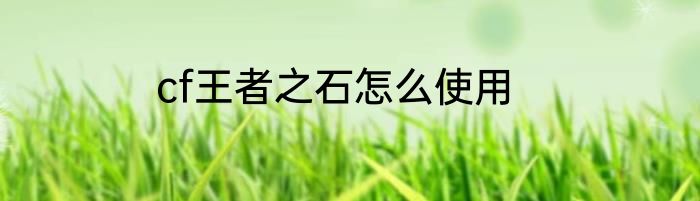 cf王者之石怎么使用