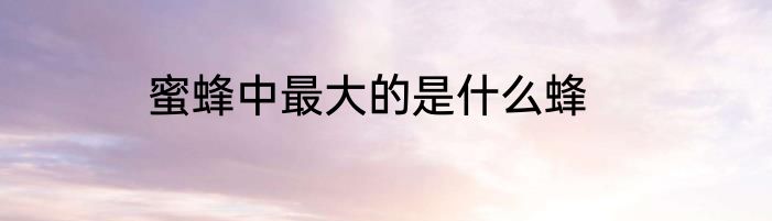 蜜蜂中最大的是什么蜂