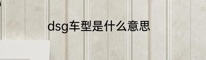 dsg车型是什么意思