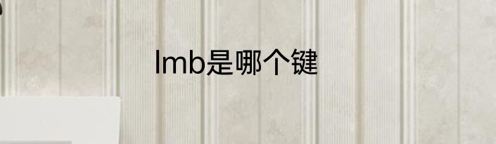 lmb是哪个键