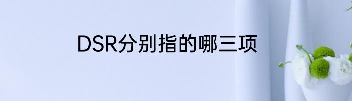 DSR分别指的哪三项