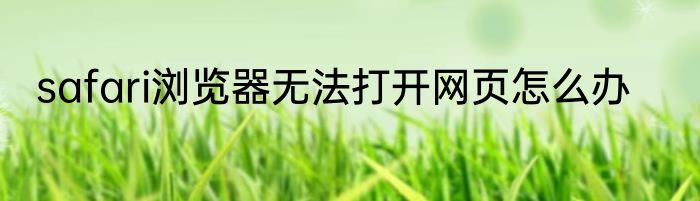 safari浏览器无法打开网页怎么办