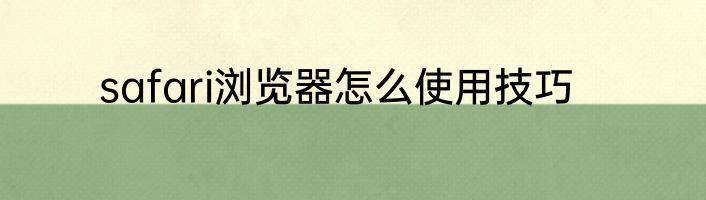 safari浏览器怎么使用技巧