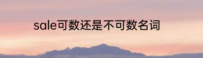 sale可数还是不可数名词