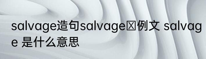 salvage造句salvageの例文 salvage 是什么意思