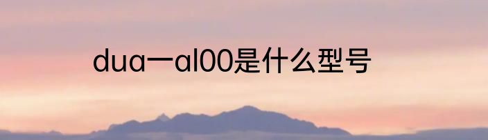 dua一al00是什么型号