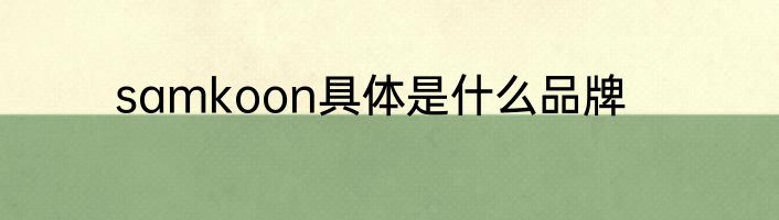 samkoon具体是什么品牌