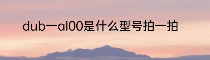dub一al00是什么型号拍一拍