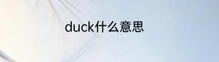 duck什么意思