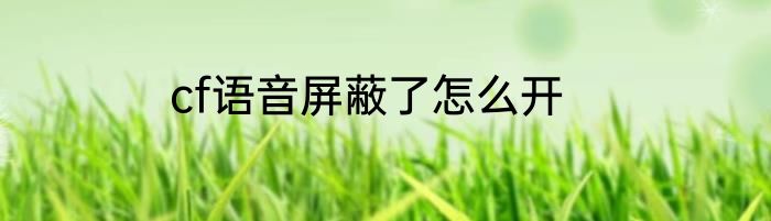 cf语音屏蔽了怎么开