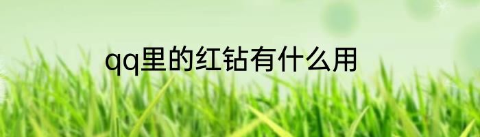 qq里的红钻有什么用