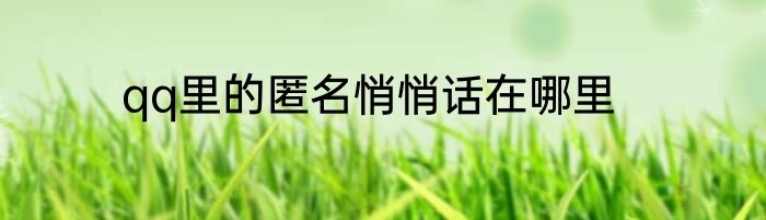 qq里的匿名悄悄话在哪里