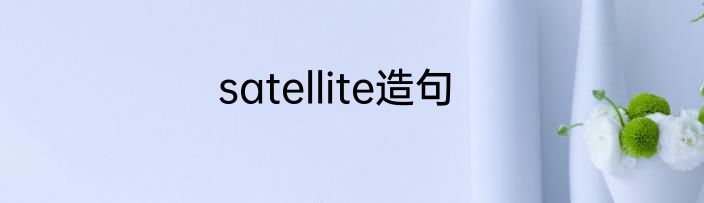 satellite造句