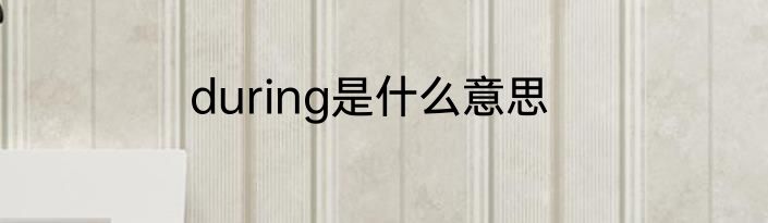 during是什么意思