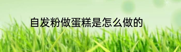 自发粉做蛋糕是怎么做的